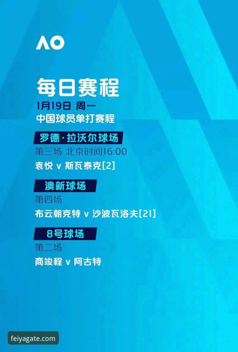 飞亚体育官网登录 飞亚体育平台全面解析:官网登录入口与安全访问通道详细解读