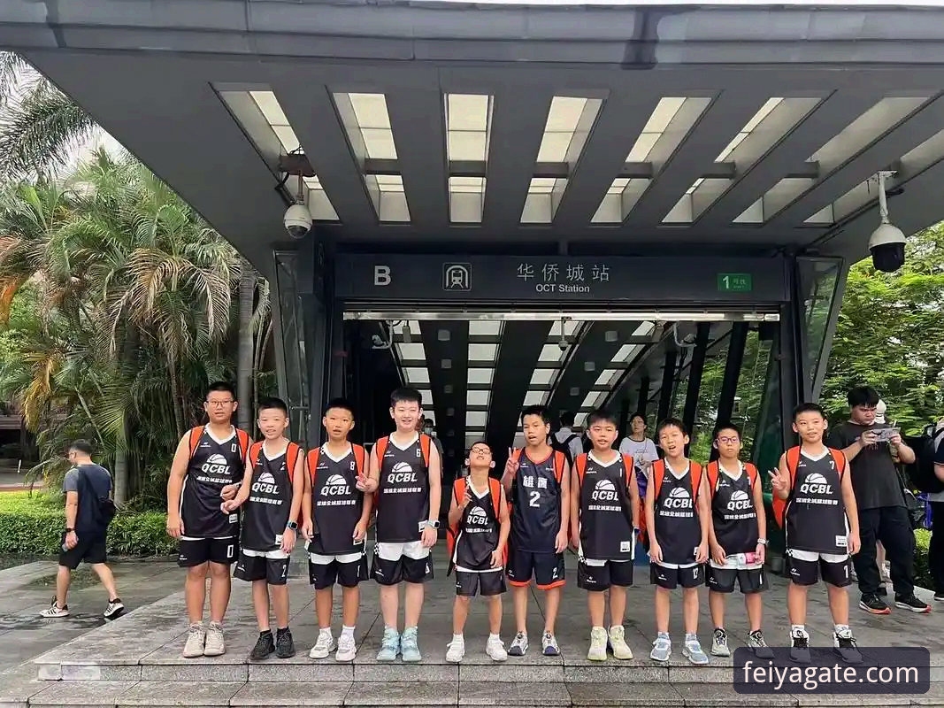 飞亚体育教程 飞亚体育平台全面解析:从入口到体验的完整教程指南